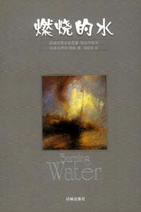 书籍 燃烧的水的封面
