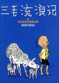 书籍 三毛流浪记的封面