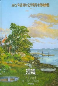 书籍 河湾的封面