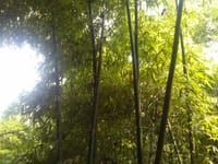 乐山市志