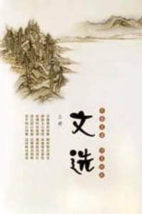 书籍 文选的封面