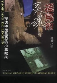 书籍 摇晃的灵魂的封面