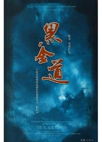 书籍 黑金道的封面