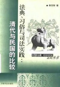 书籍 法典、习俗与司法实践的封面