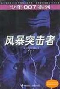 书籍 风暴突击者的封面