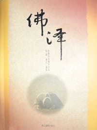 书籍 佛泽：影像中国佛学文化的封面