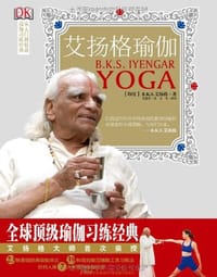 书籍 艾扬格瑜伽的封面