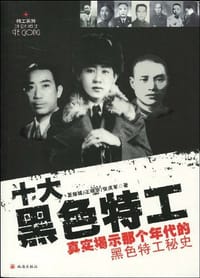 书籍 十大黑色特工的封面