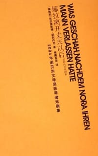 书籍 娜拉离开丈夫以后的封面
