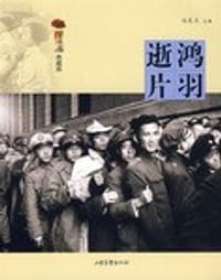 书籍 逝鸿片羽的封面