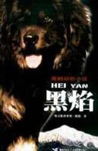 书籍 黑焰的封面