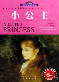 书籍 小公主的封面
