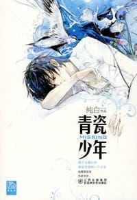 书籍 青瓷少年的封面