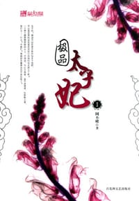极品太子妃 - 圆不破