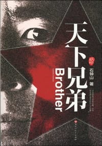 书籍 天下兄弟的封面