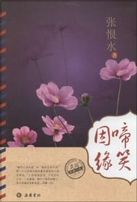 书籍 啼笑因缘的封面