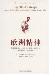 欧洲精神 - （法）莱涅尔-拉瓦斯汀