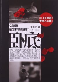 书籍 卧底的封面