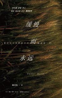 缓慢而永远