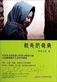 书籍 散失的母亲的封面