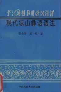 书籍 ꀋꃋꋋꄮꆃꎭꆀꉙꉉꏦ（现代凉山彝语语法）的封面