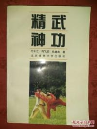 精武神功