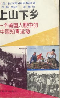 书籍 上山下乡的封面