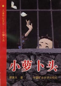 小萝卜头 - 薛家太
