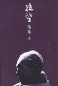 书籍 孙望选集的封面