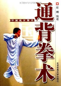 中国通背拳术