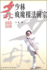 书籍 少林疯魔棍法阐宗的封面