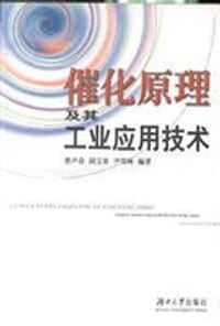 催化原理及其工业应用技术 - 无名图书