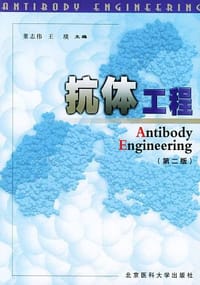 抗体工程
