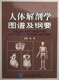 人体解剖学图谱及纲要 - 林奇