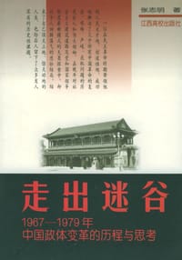 书籍 走出迷谷的封面