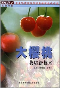 大樱桃栽培新技术