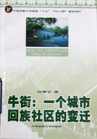 书籍 牛街的封面