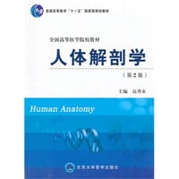 人体解剖学
