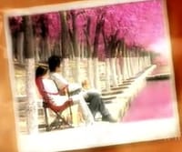 天若有情 大型唯美爱情时尚大剧 十碟装(DVD) - 
      