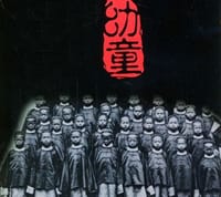 幼童五集电视纪录影片 三片装(DVD) -