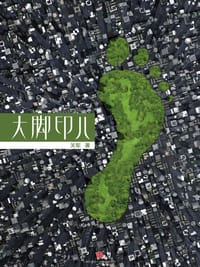 书籍 大脚印儿 (中国故事)的封面