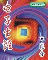 电子生涯