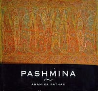 书籍 Pashmina的封面