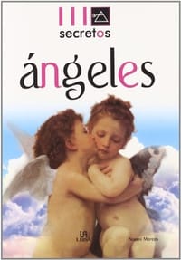 111 secretos de los angeles/ 111 secrets of Angels