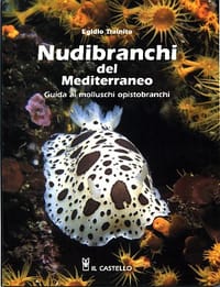 Nudibranchi del Mediterraneo
