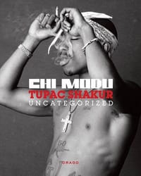 书籍 Uncategorized的封面