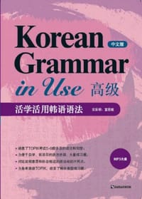 Korean Grammar in Use 高級(中文版)