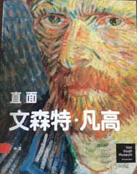 直面文森特·凡高