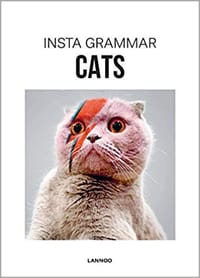 Insta Grammar: Cats