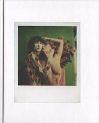 Aat Veldhoen Polaroids - Ed de Heer